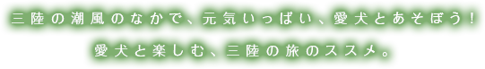 リード文が入ります。