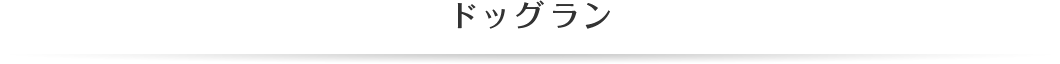 ドッグラン