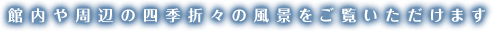 館内や周辺の四季折々の風景をご覧いただけます